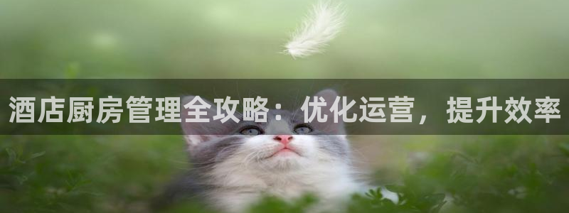 Ϸעٷվ